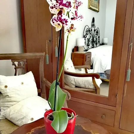 Faro Bianco Отель типа 